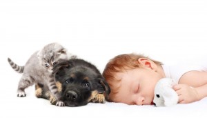 Siguranța copiilor în preajma animalelor de companie