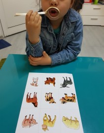 Hegyi Maria - Cabinet de logopedie Hegyi Maria - Cabinet de logopedie