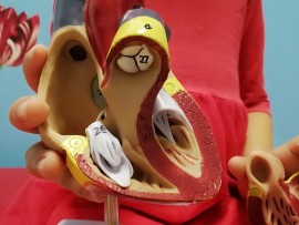 Centru Medical Speranța Junior Centru Medical Speranța Junior